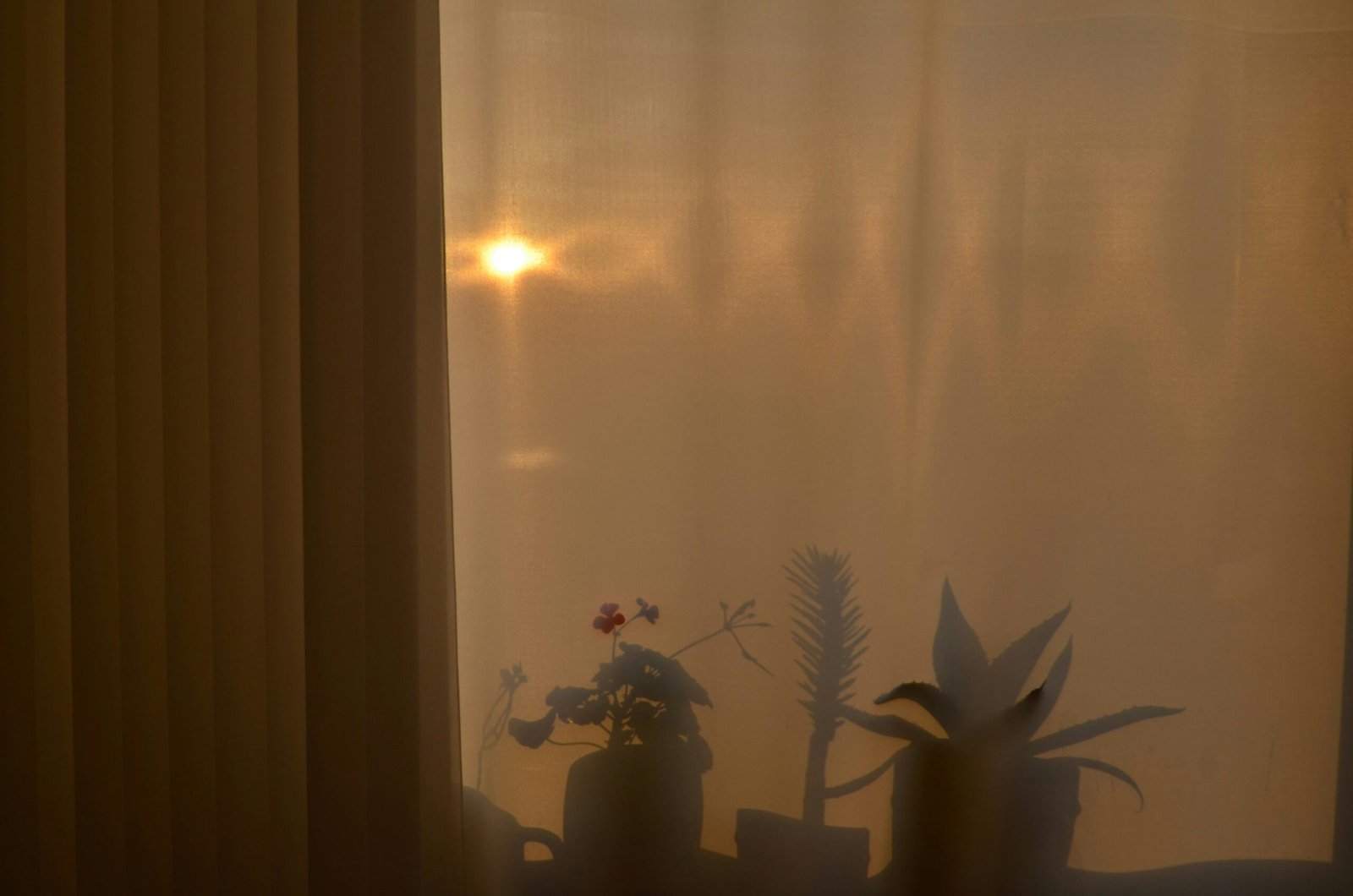 Schlafzimmerfenster mit Kondenswasser auf der Innenseite am Morgen