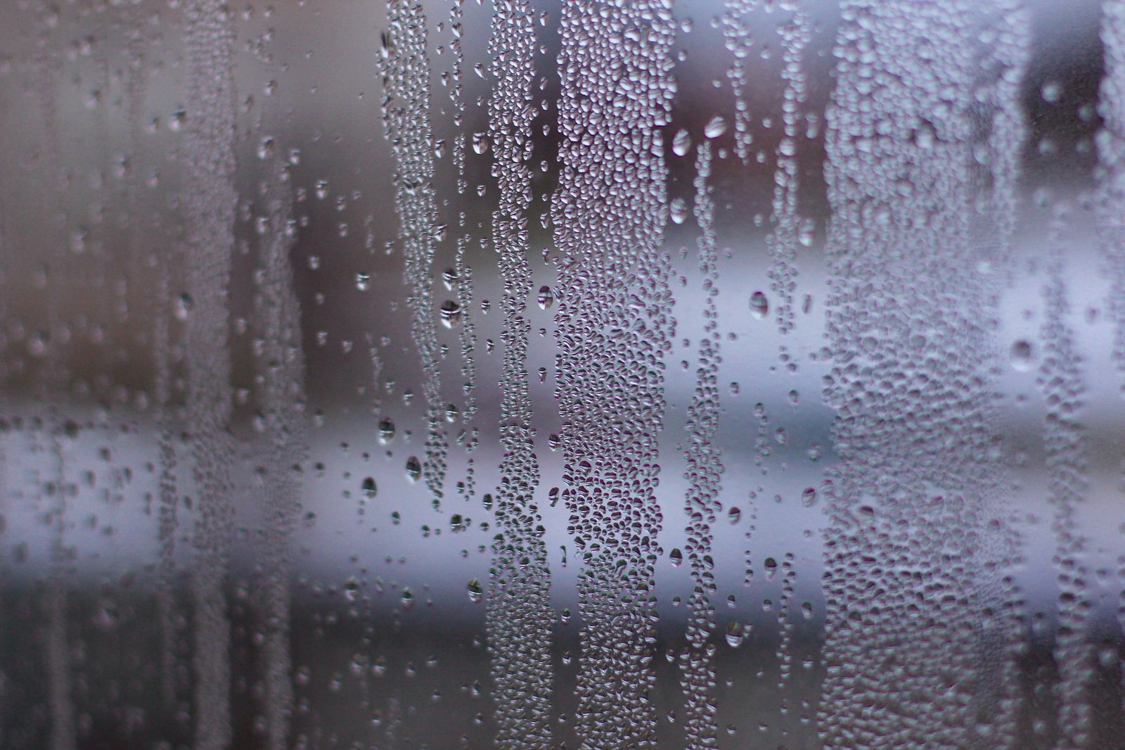 Wassertropfen laufen an einer Fensterscheibe herunter