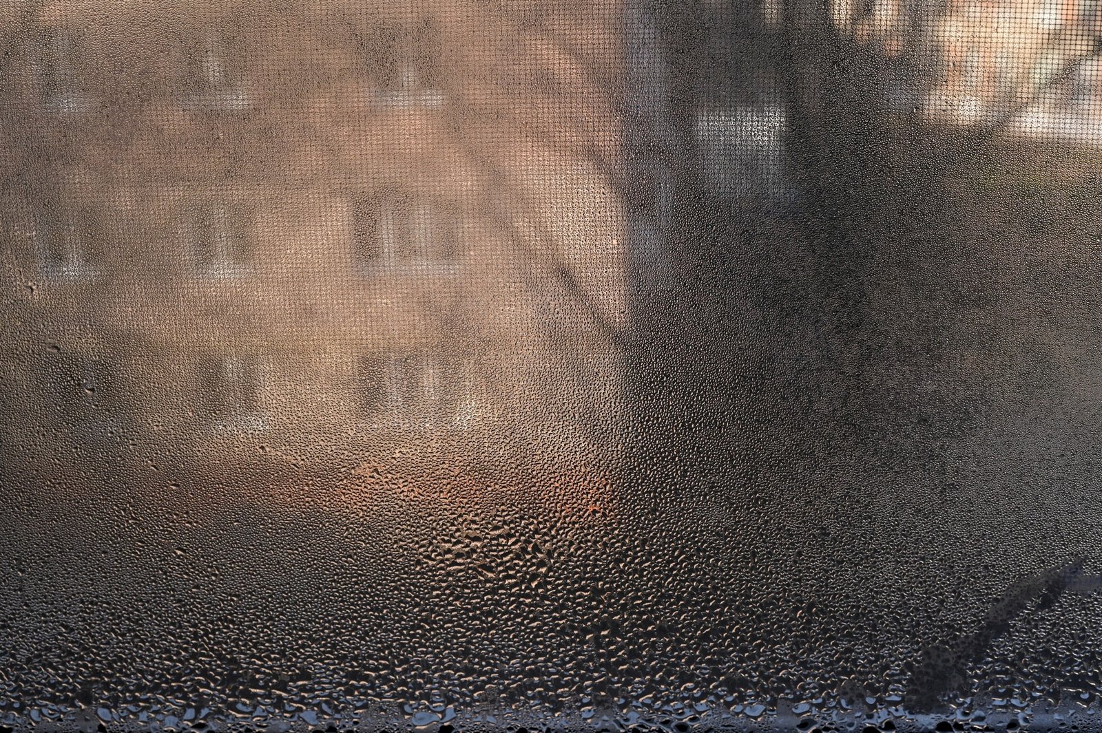 Beschlagene Fensterscheibe durch alltägliche Fehler